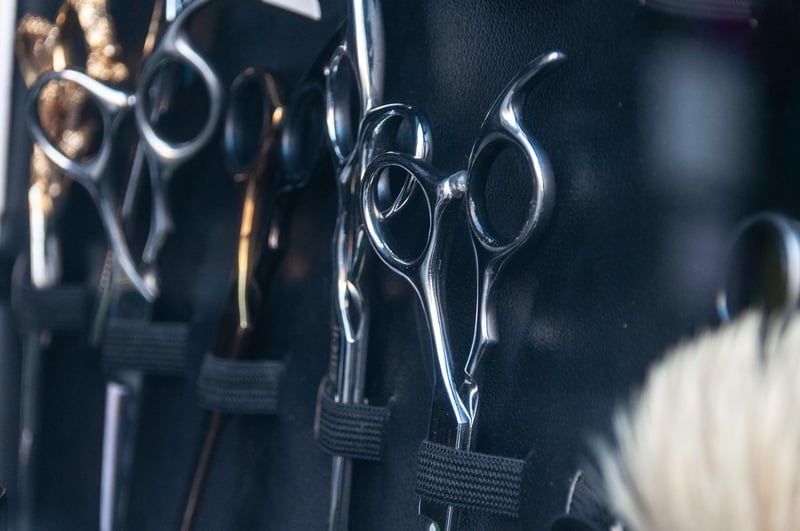 Kitchen Shears
